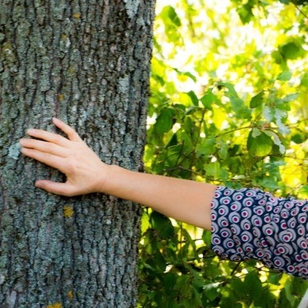 scuola di Naturopatia Manipura 